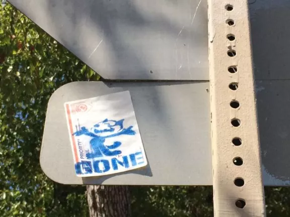 CA LA NELA fritz GONE sticker