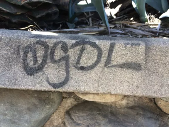 CA LA NELA ogdl