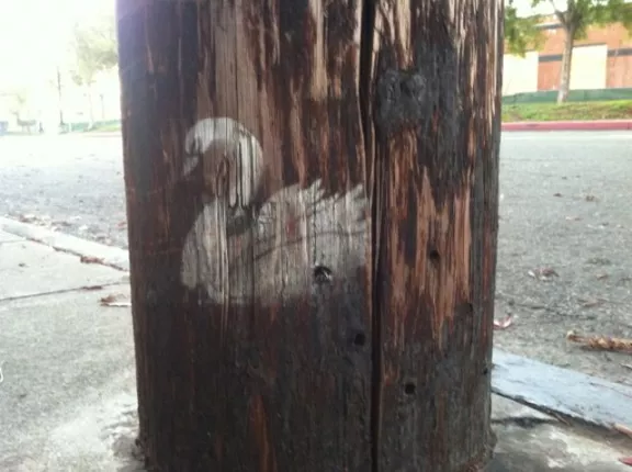 CA East Bay Emeryville white swan