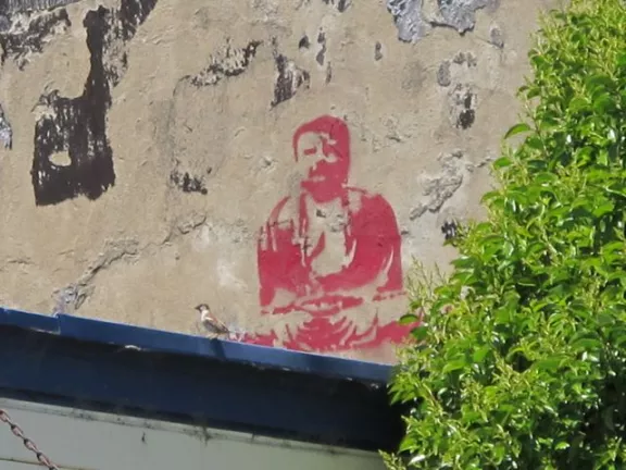 CA Point Reyes buddha