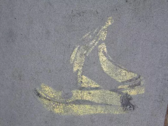 CA Davis Banana Peel