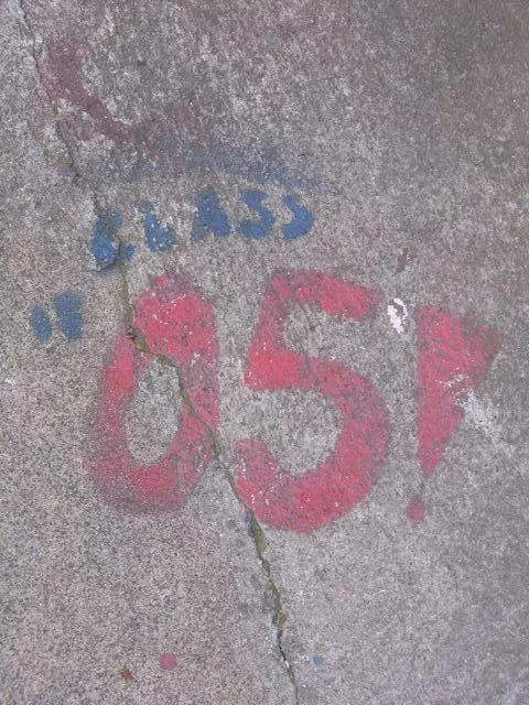 CA Sacramento Class Of 2005