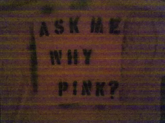 CA_SantaCruz_ask why pink