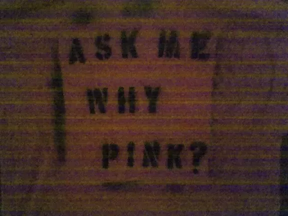 CA Santa Cruz ask why pink