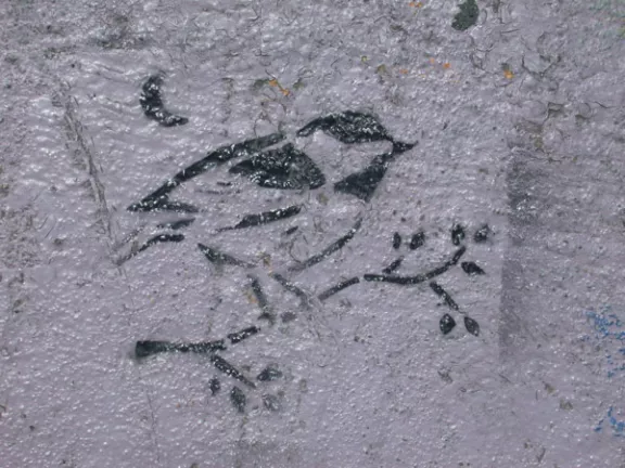 CA Arcata bird