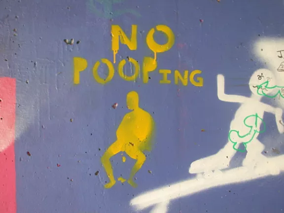 CA Arcata no pooping