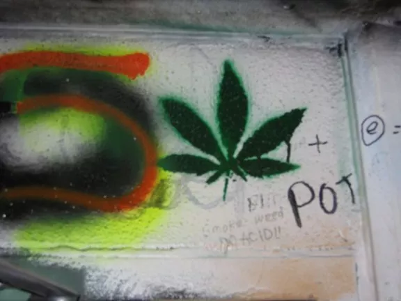CA San Diego UCSD 2009 Graff Hall cannabis