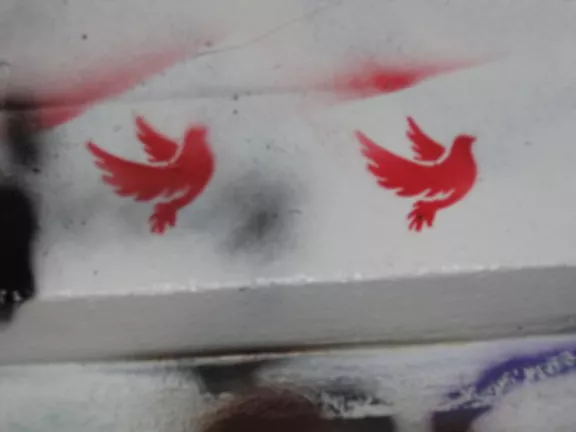 CA San Diego UCSD 2009 Graff Hall birds