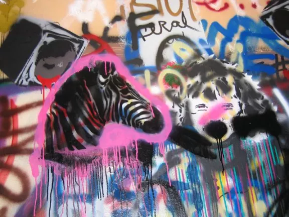 CA San Diego UCSD 2009 Graff Hall face