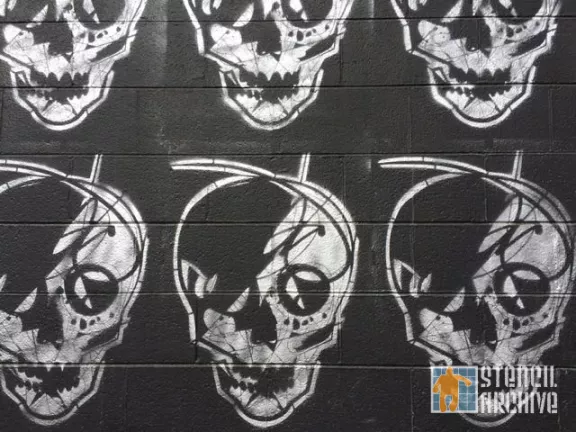 CO Boulder skulls