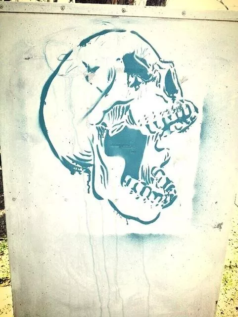 CO Durango skull ph MAC