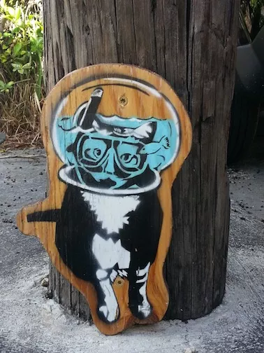 FL Snorkling Cat on panel