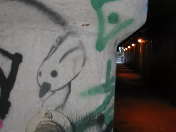 GA Atlanta Krog St. bird