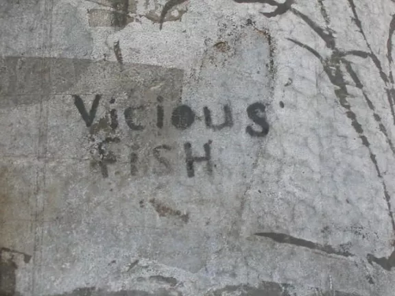 GA Atlanta L5P vicious fish