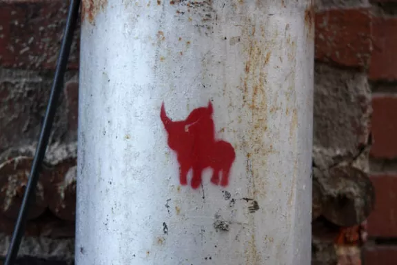 ID Boise Tiny Bull