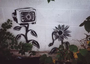 Josh MacPhee Chicago IL Flower TV