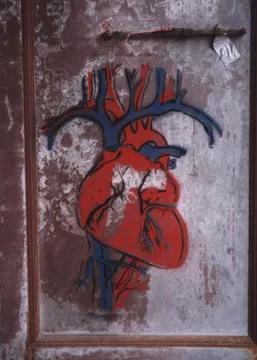 IL Chicago heart