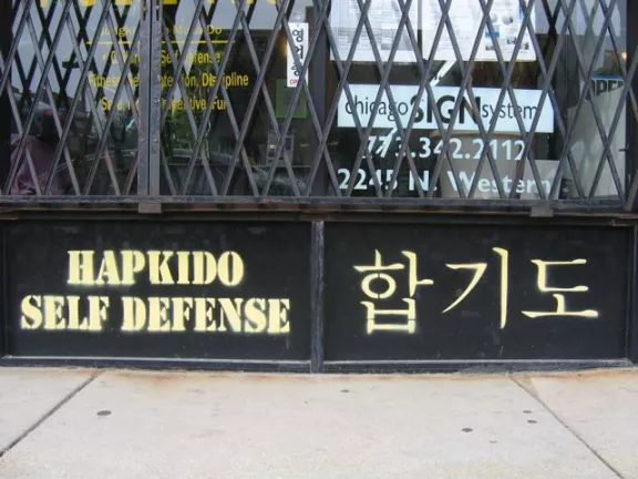 IL Chicago Hapkido