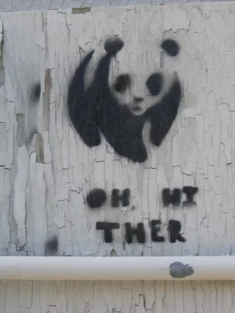 IN_Btown panda