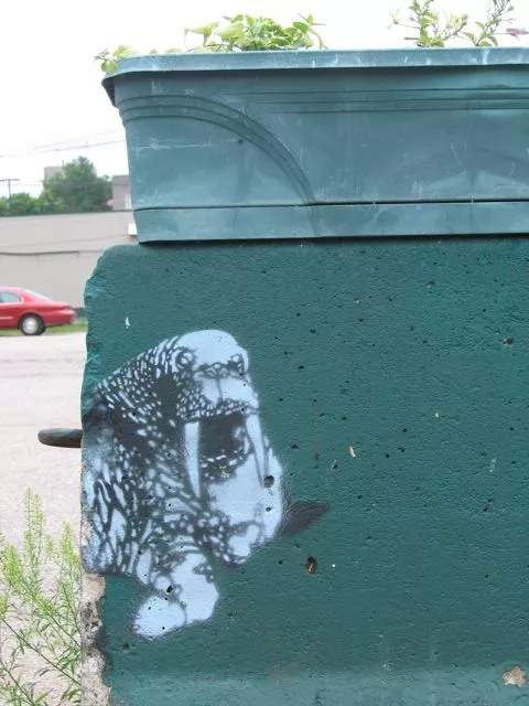 IN Bloomington walrus