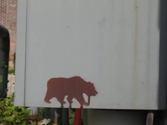 IN Bloomington Bear