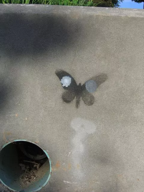 IN Bloomington butterfly