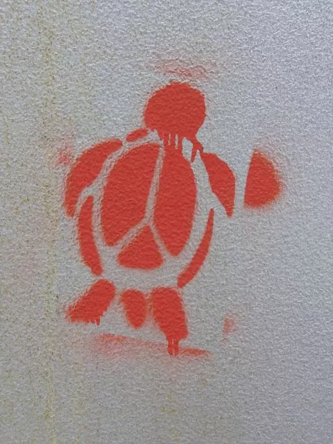 IN Bloomington turtle