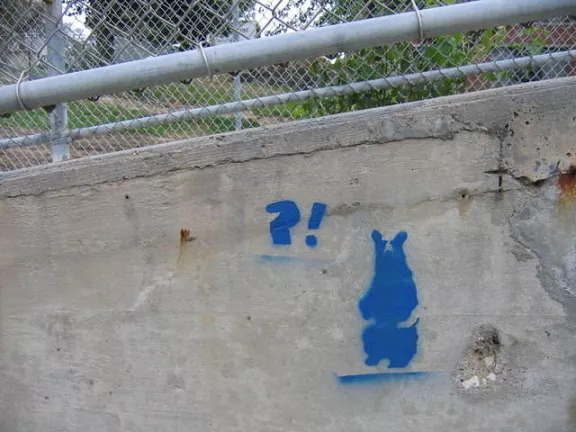 IA Des Moines ?! Bear
