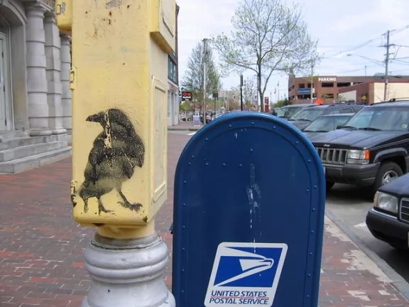 ME Portland Raven