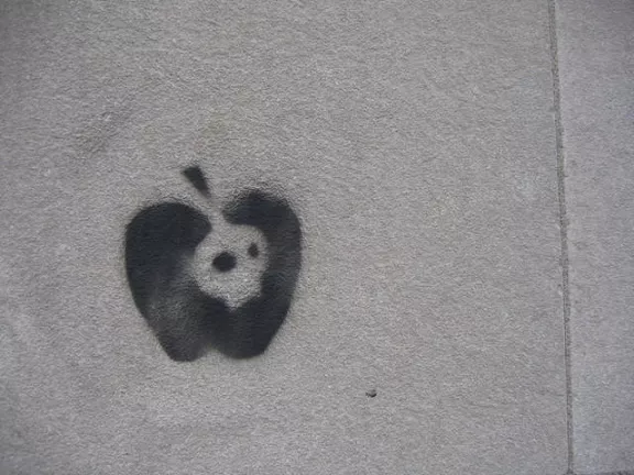 MA Boston Apple