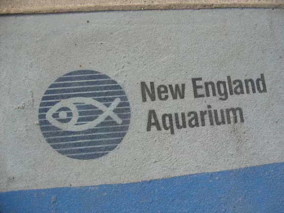 MA Boston NEA