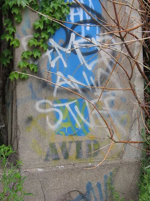 MI Detroit AVID