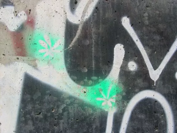 MI Detroit flowers