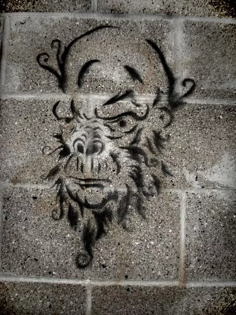 MN Saint Paul Monkey