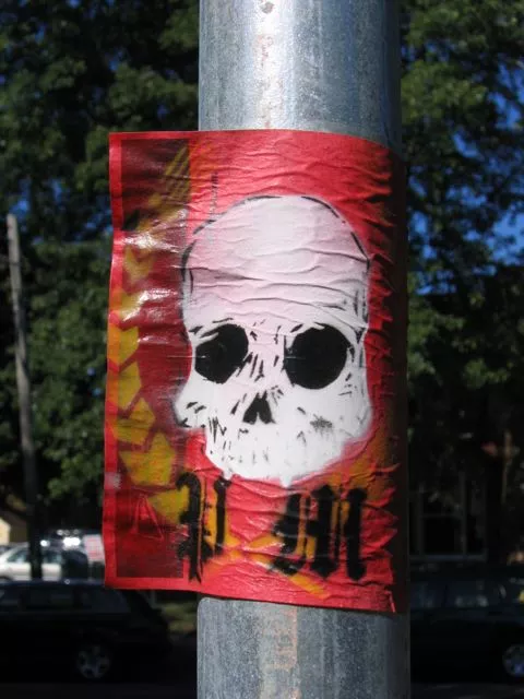 MN skull sticker