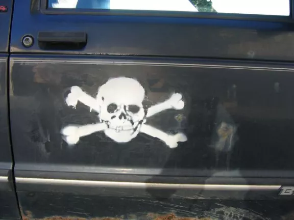 MN skull and crossbones