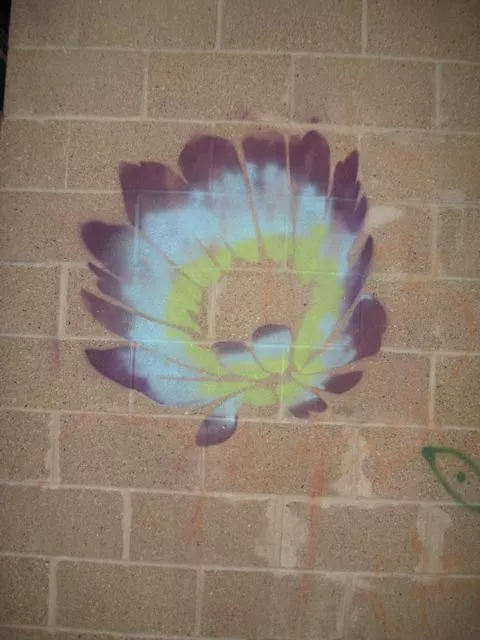 MN Saint Paul Flower