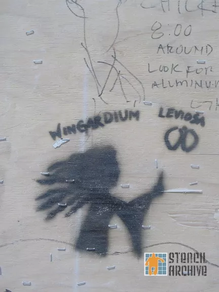 Burning Man 2011 Wingardium Leviosa
