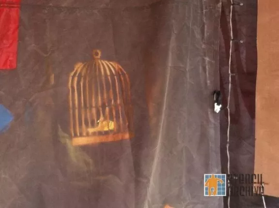 Burning Man 2013 bird cage