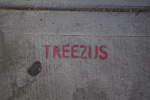NV Las Vegas TREEZUS
