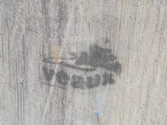 NYC Bushwick Veaux