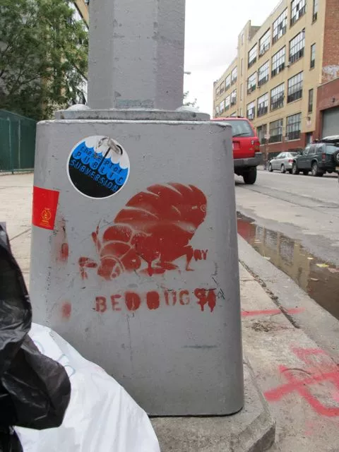 NYC Bushwick bedbugs