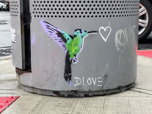 NYC DLOVE bird ph J Rojo for BSA