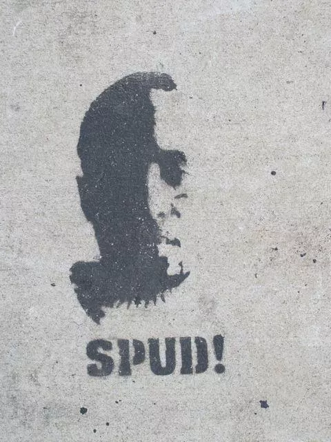 NYC SPUD