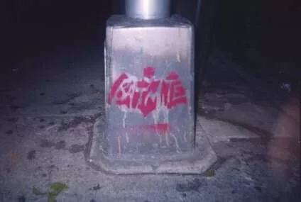 NYC Brooklyn Batmite
