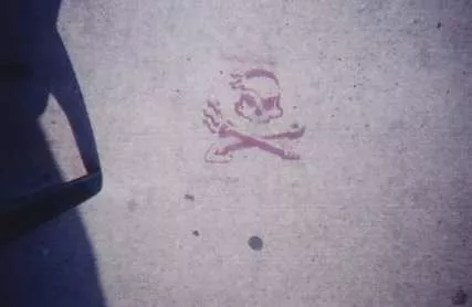 NYC Brooklyn Pirate