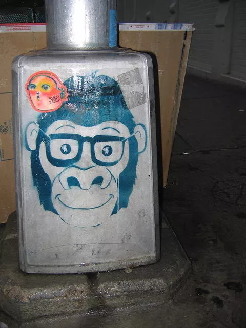 NYC 4eye Gorilla