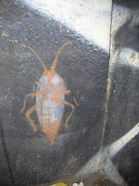 NYC Roach