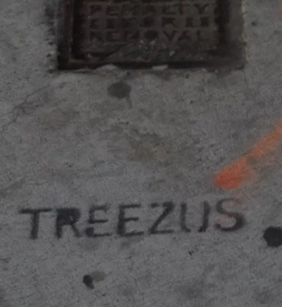 NYC TREEZUS