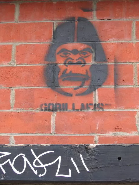 NYC Brooklyn Gorillafis
